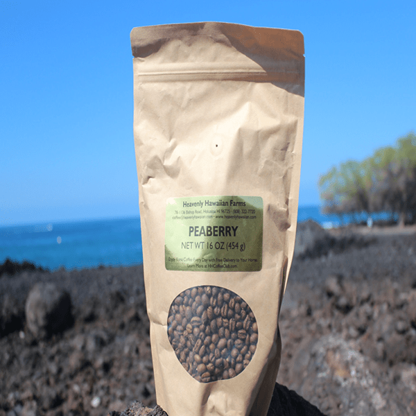 Kona Peaberry
